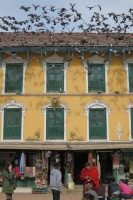 /album/nepal/img-9490-jpg/