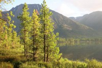 /album/rusko/rusko-img-4566-jpg/