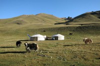 /album/mongolsko/mongolsko-img-5683-jpg/